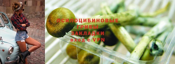 скорость Богданович