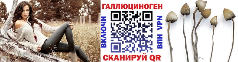 Псилоцибиновые грибы Cubensis  Михайловск 